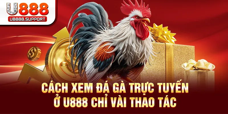 Cách xem đá gà trực tuyến ở U888 chỉ vài thao tác