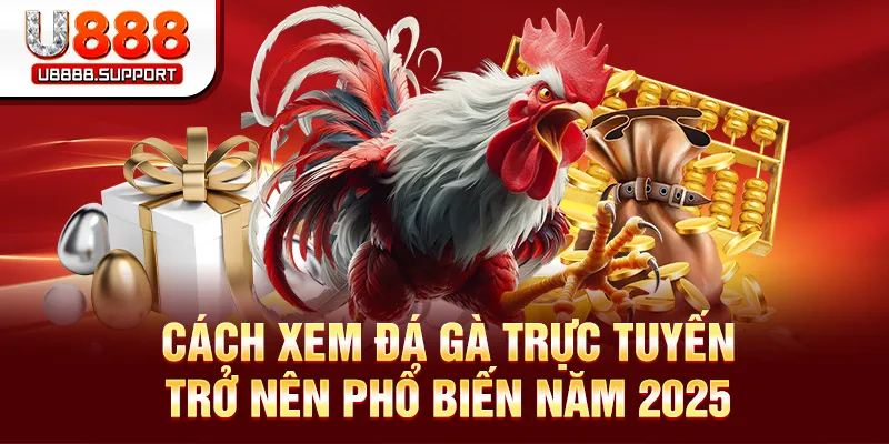 Cách xem đá gà trực tuyến trở nên phổ biến năm 2025