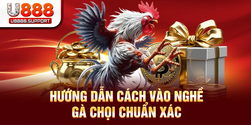 Hướng dẫn cách vào nghệ gà chọi chuẩn xác