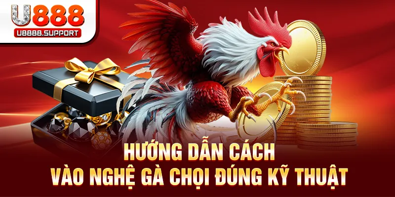 Cách Vào Nghệ Gà Chọi