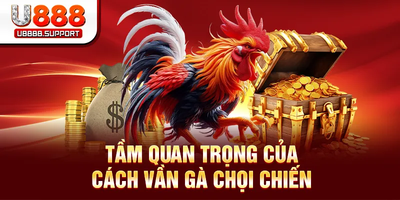 Tầm quan trọng của cách vần gà chọi chiến