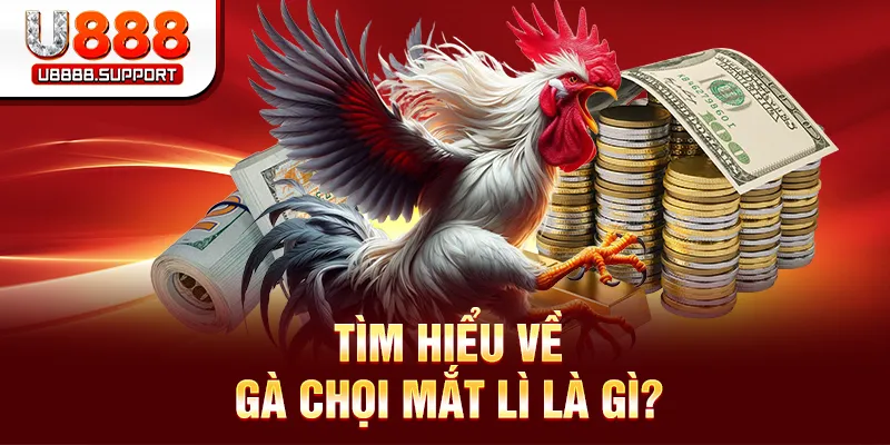 Tìm hiểu về gà chọi mắt lì là gì?